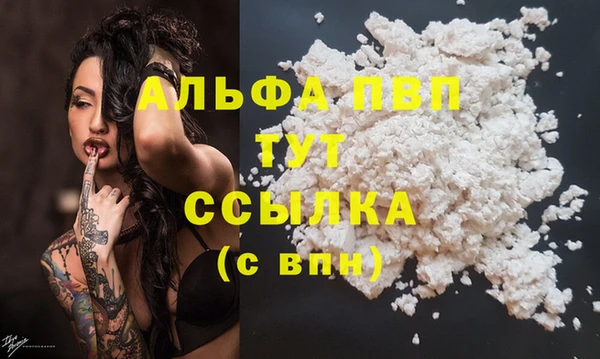 spice Магас