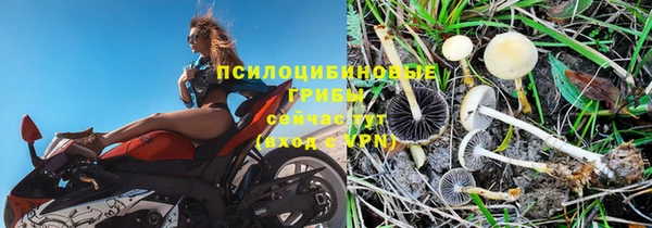 ешки Магадан
